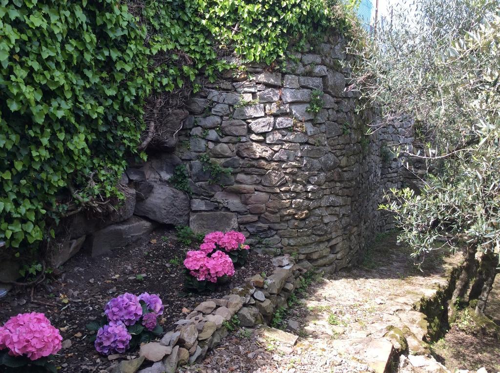 פייזולה Casa Vacanze Ada מראה חיצוני תמונה