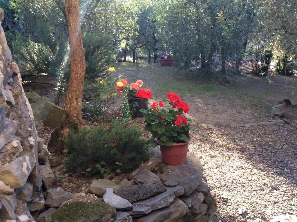 פייזולה Casa Vacanze Ada מראה חיצוני תמונה